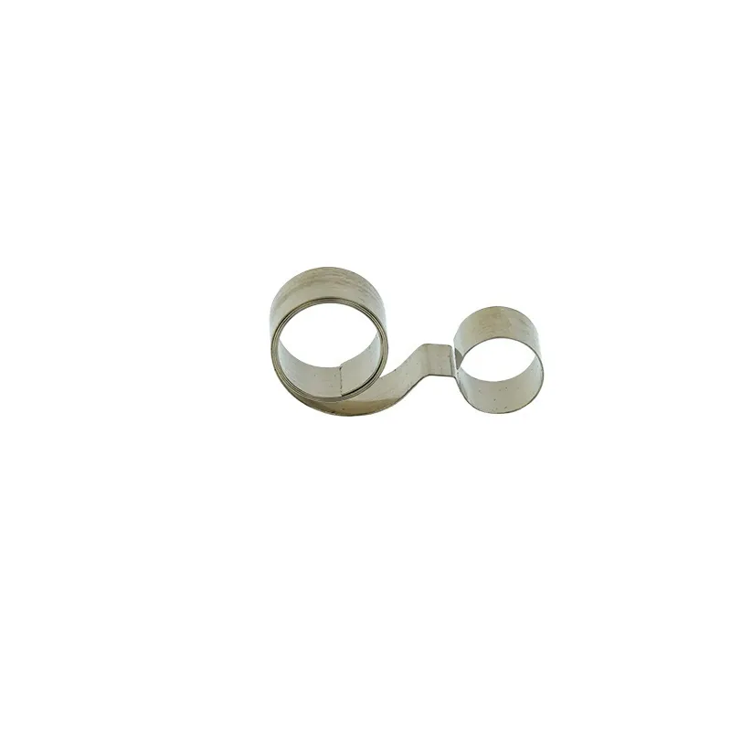 Motor Brush Springs — structure illustration